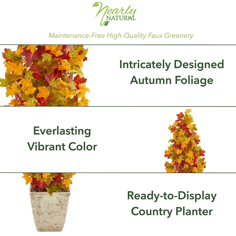 3ft. Autumn Maple Tree in Country White Planter