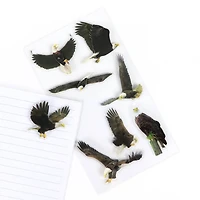 Eagle Stickers by Recollections™
