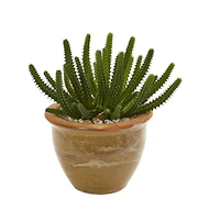 11" Cactus Succulent in Ceramic Vase Set