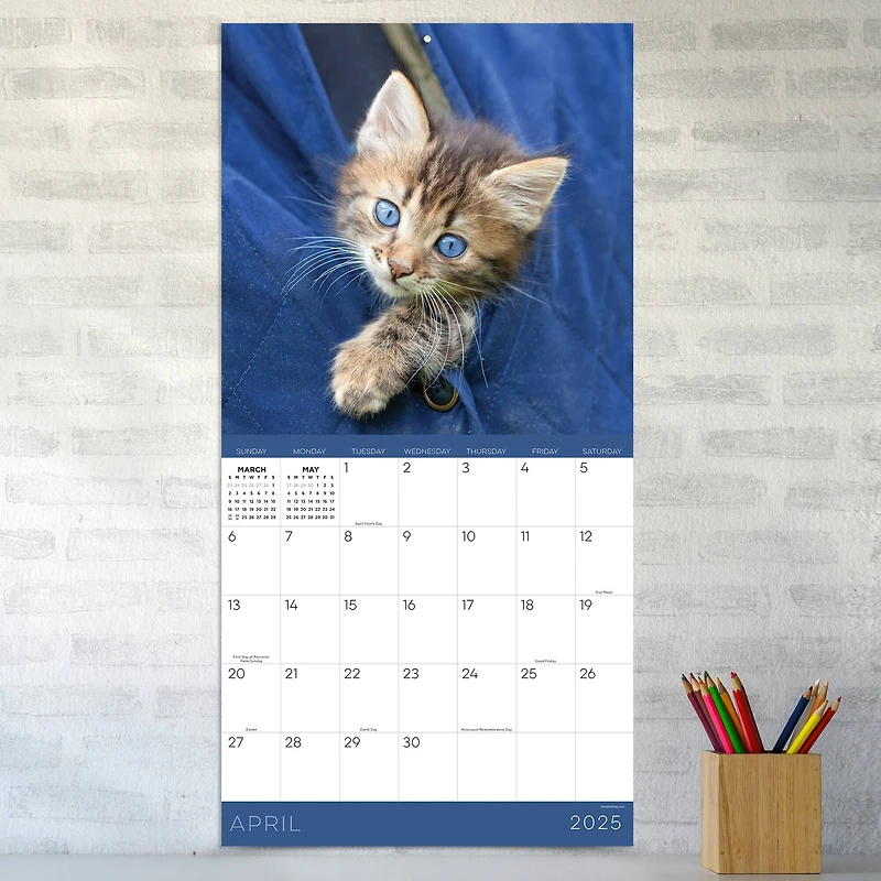 TF Publishing 2025 Kittens Wall Calendar
