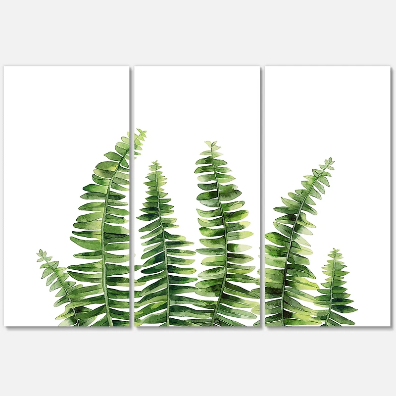 Designart - Fern Leaves Detail II