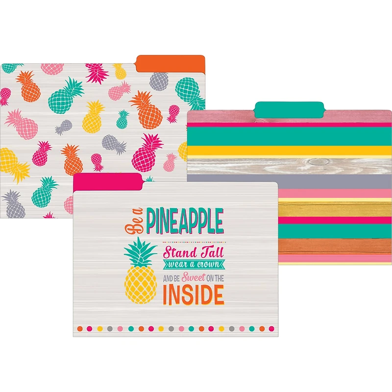 Teacher Created Resources Tropical Punch File Folders, 2 Packs of 12