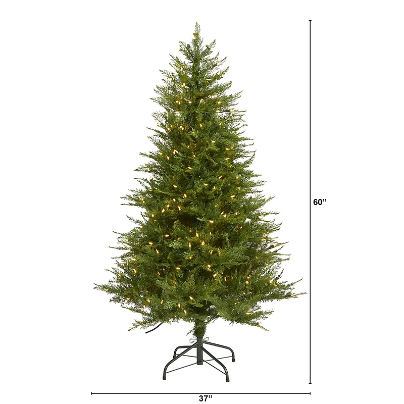 5ft. Pre-Lit Wisconsin Fir Artificial Christmas Tree, Warm White LED Lights