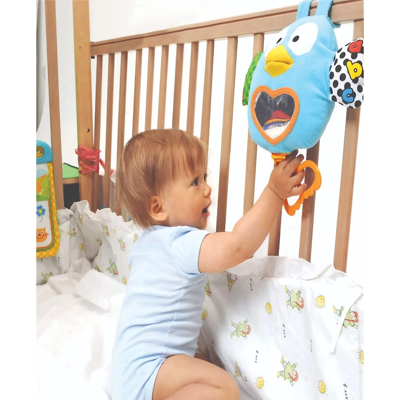 Enviro-Mental Toy Brilliant Beginnings: Teaching Talking Owl