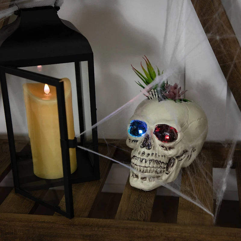 9" LED Lighted Succulent Halloween Skull Planter