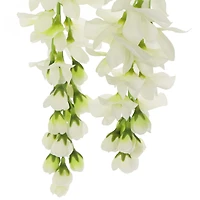 Cream Wisteria Stem by Ashland®
