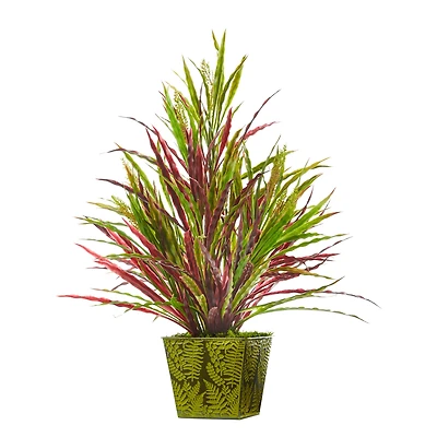 24" Fall Vanilla Grass Plant in Green Planter