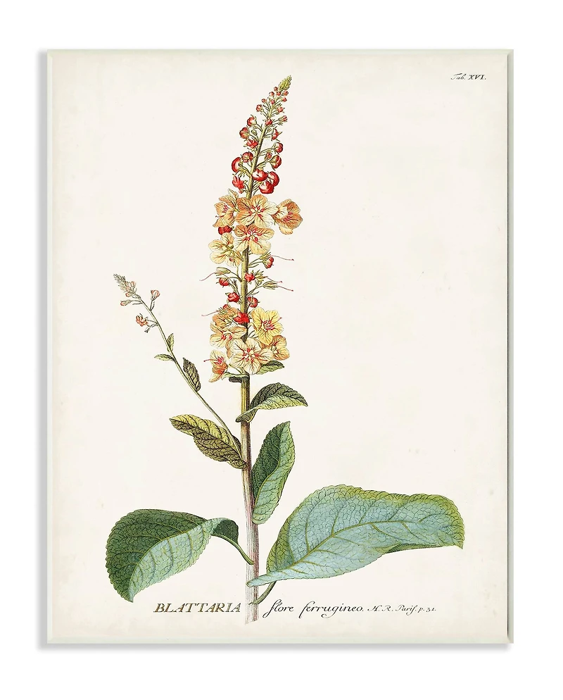 Stupell Industries Botanical Flower Wooden Wall Plaque