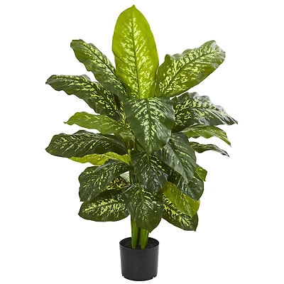 3.5ft. Potted Dieffenbachia Plant