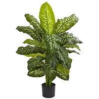 3.5ft. Potted Dieffenbachia Plant