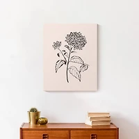 Hydrangeas On Blush 16" x 20" Canvas Wall Art