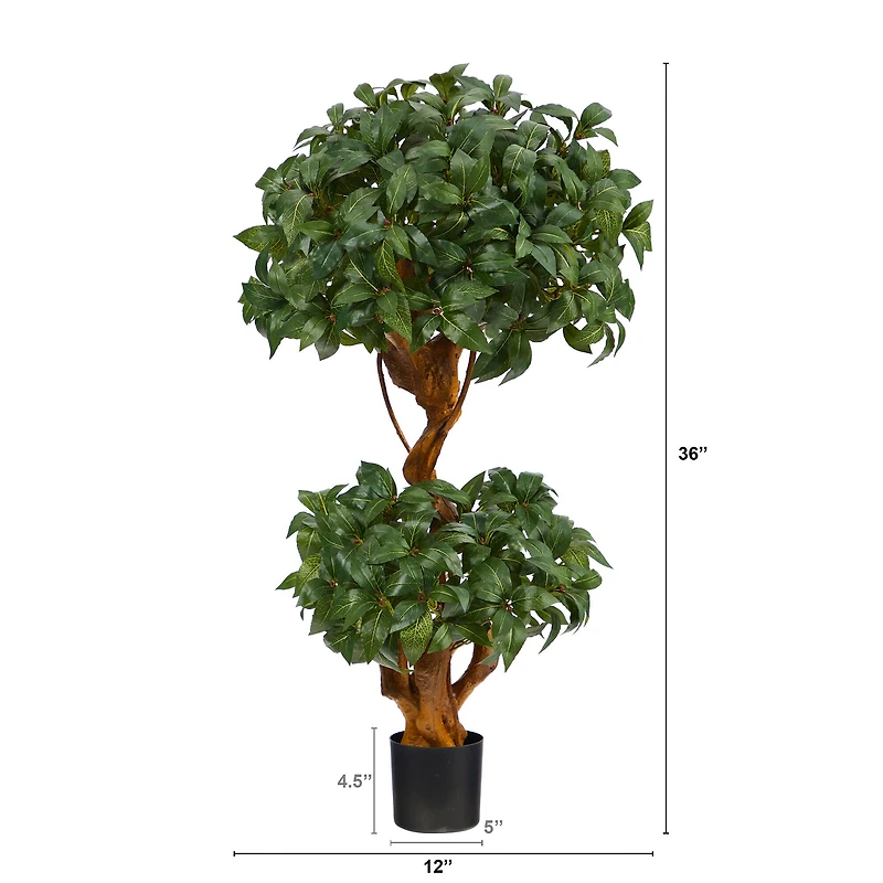 3ft. Potted Bay Laurel Double Ball Topiary Tree