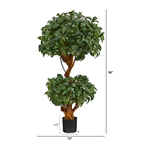 3ft. Potted Bay Laurel Double Ball Topiary Tree