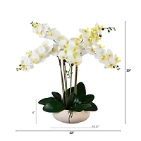 23" Orchid Arrangement in White Ceramic Planter