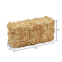 12 Pack: 13" Decorative Straw Bale by Ashland®