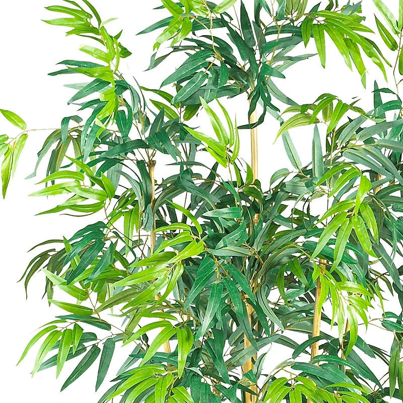 6ft. Potted Bambusa Bamboo Silk Tree