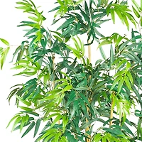 6ft. Potted Bambusa Bamboo Silk Tree