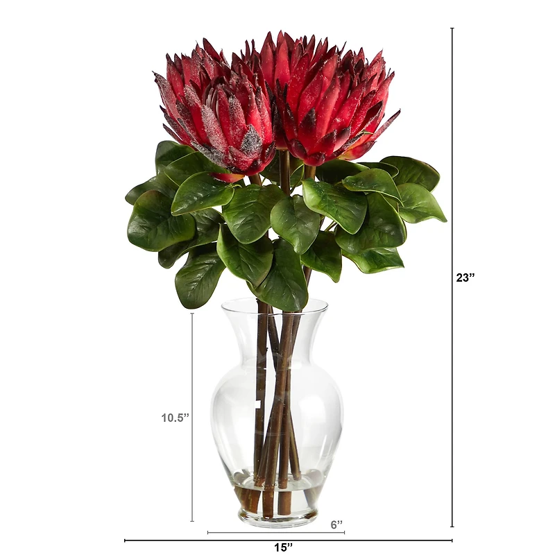23" Red King Protea Arrangement in Glass Vase