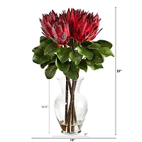 23" Red King Protea Arrangement in Glass Vase