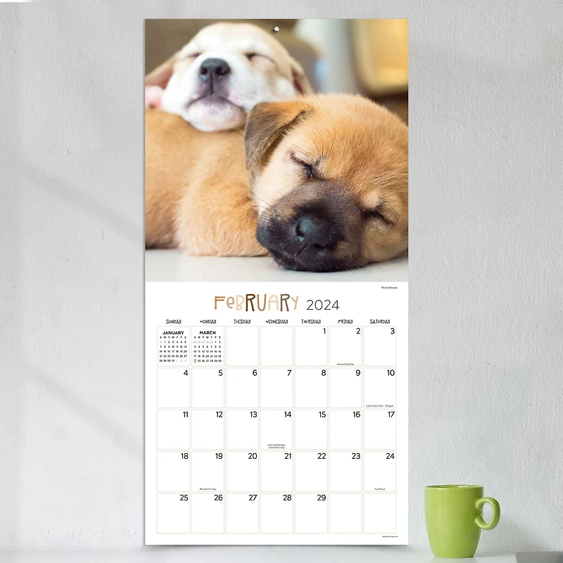 TF Publishing 2024 Dog Dreams Wall Calendar