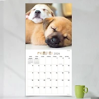 TF Publishing 2024 Dog Dreams Wall Calendar