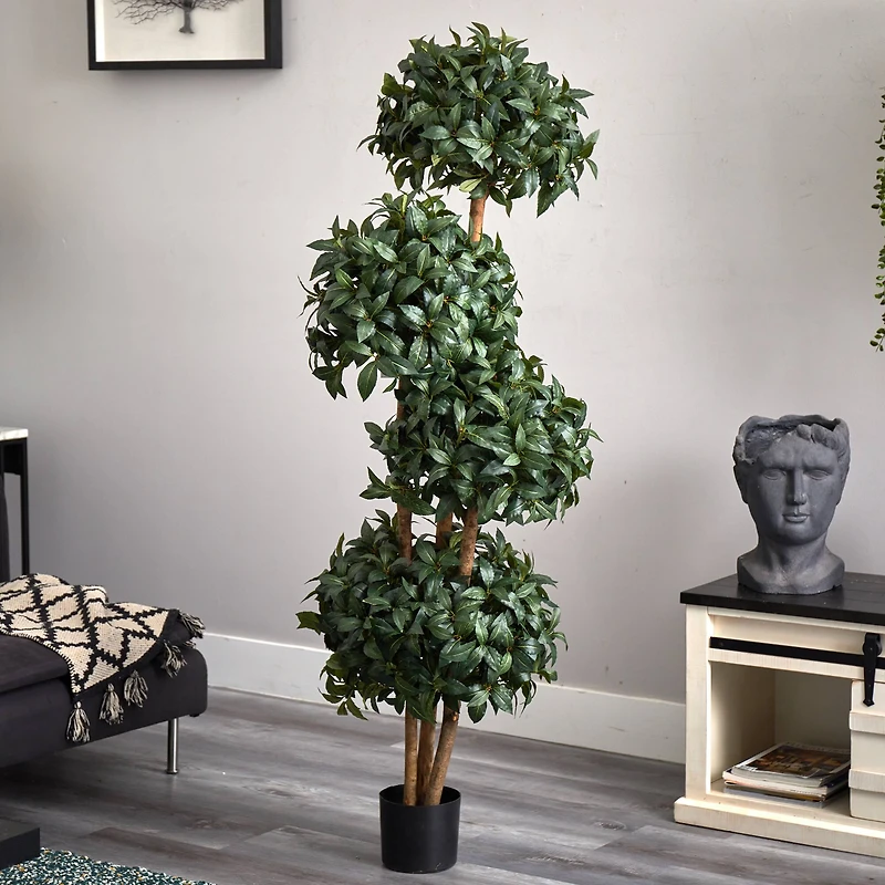 5.5ft. Potted Sweet Bay Quad Ball Topiary Tree