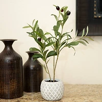 Flora Bunda® 14" Olive Branch In 4" Ceramic Pot