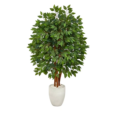 57" Super Deluxe Ficus Tree in White Planter