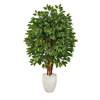 57" Super Deluxe Ficus Tree in White Planter