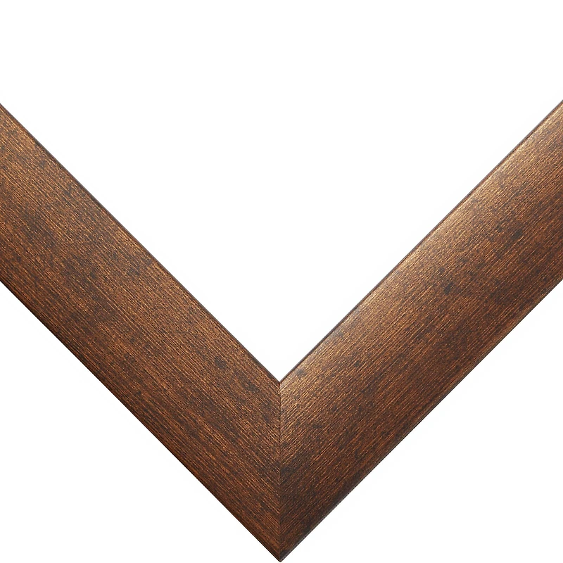 Craig Frames Contemporary Rustic Copper Picture Frame