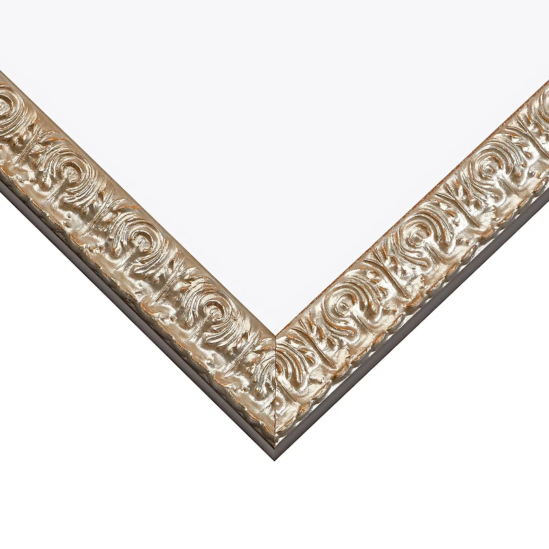 Craig Frames Versailles Ornate Silver Picture Frame