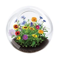 Glass Terrarium - Wildflower Blooms