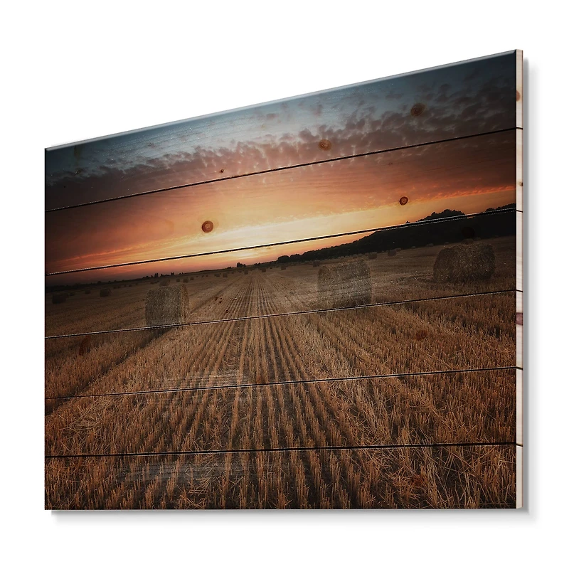 Designart - Landscape With A Field Full of Hay Bales At Sunset - Farmhouse Print on Natural Pine Wood