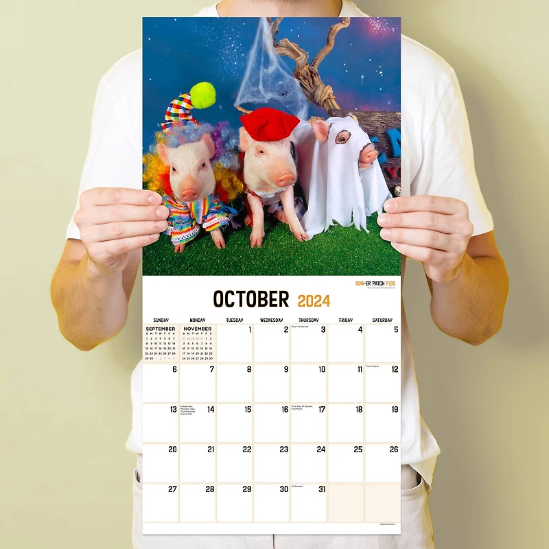 TF Publishing 2024 Playful Pigs Wall Calendar