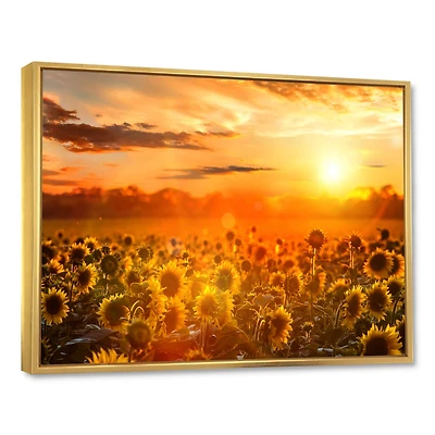 Designart - Yellow Sunset over Sunflowers