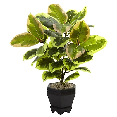 22in. Variegated Rubber Leaf Plant in Wood Planter