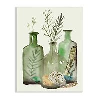 Stupell Industries Fern Plants Nautical Seashells Green Jug Still Life Wall Plaque