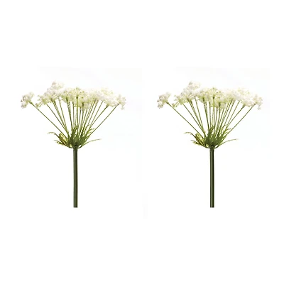 Queen Anne's Lace Stem, 2ct.