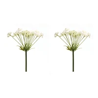 Queen Anne's Lace Stem, 2ct.