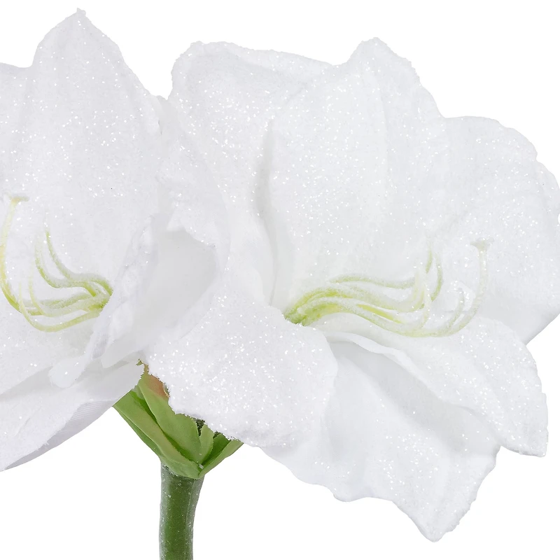 26" Snow White Amaryllis Stem by Ashland®