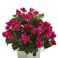2.5ft. Bougainvillea in White Tower Planter