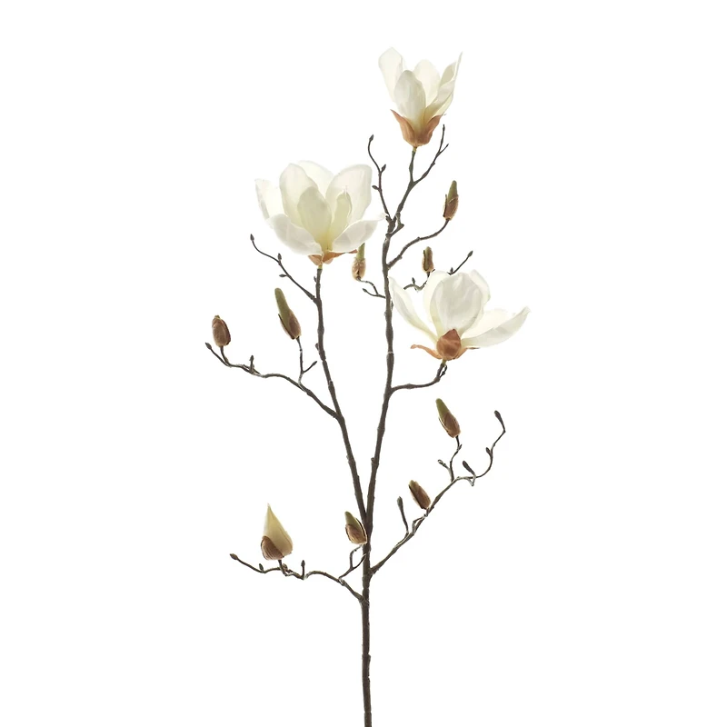 White Magnolia Branch Stem by Ashland®