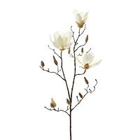 White Magnolia Branch Stem by Ashland®