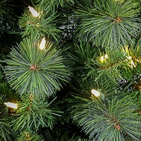 6ft. Pre-Lit Nooksack Fir Pencil Artificial Christmas Tree, Warm White LED Lights