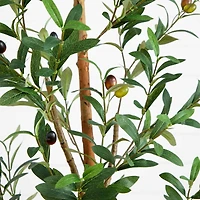 5ft. Potted Artificial Olive Tree with Natural Trunk