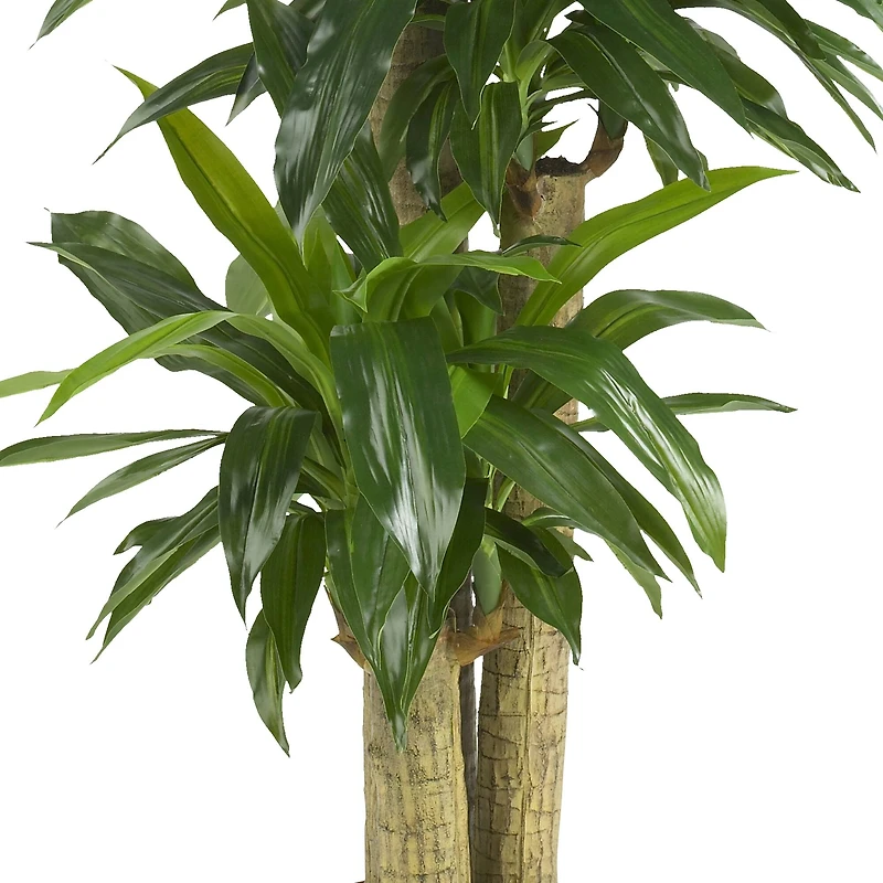 5ft. Corn Stalk Dracaena Silk Plant