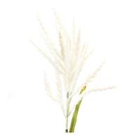 34" White Astilbe Stems, 6ct.