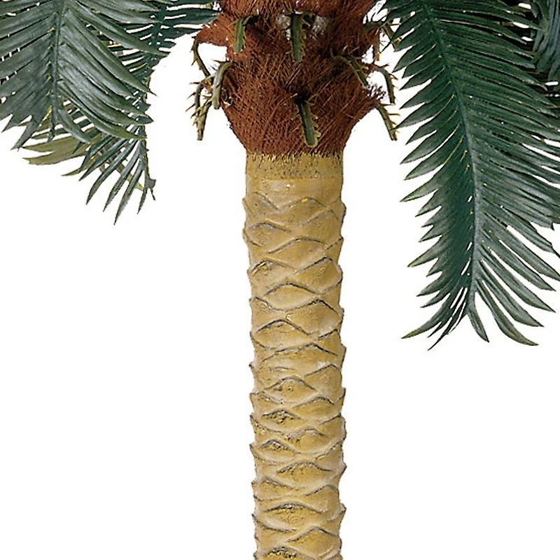 6ft. Sago Palm Tree in Wicker Basket Pot