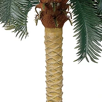 6ft. Sago Palm Tree in Wicker Basket Pot