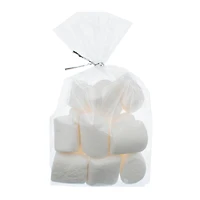 Clear Rectangle Treat Bags with Ties by Celebrate It